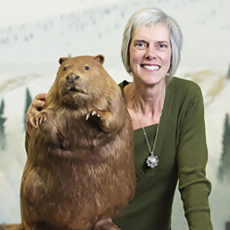 Critter-Chat-webinar