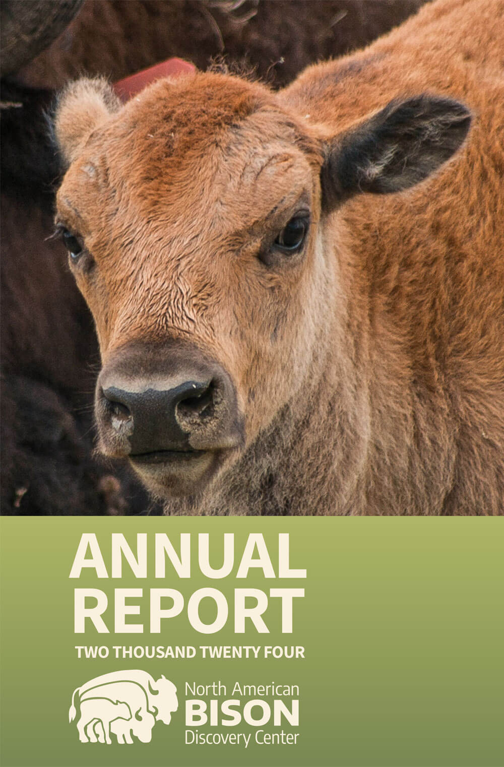 Annual Report 2024