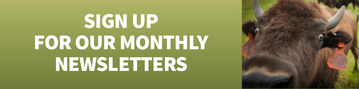 Sign-Up-For-Newletters