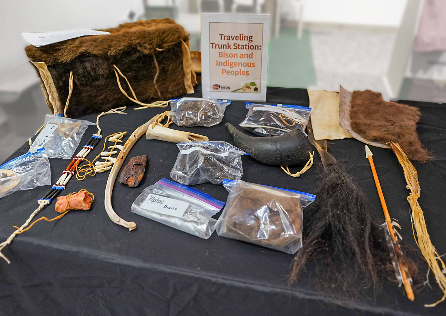 Traveling Trunk Indigenous People