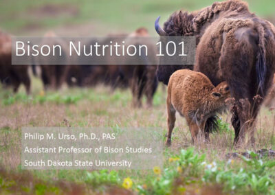 Bison Nutrition 101 by Philip M. Urso