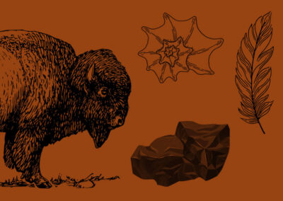 Bison and Economy Lesson Plan