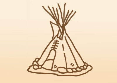 Bison as Shelter Lesson Plan