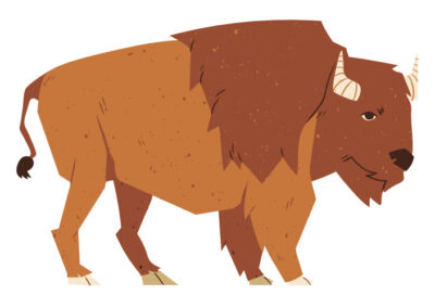 Symbolism of Bison Lesson Plan