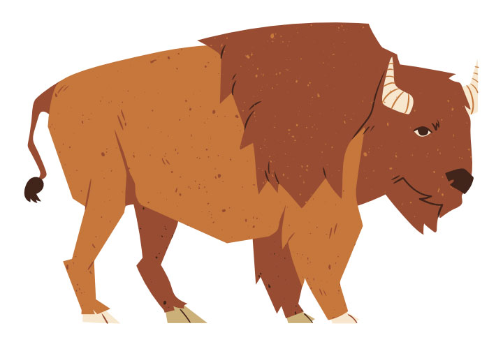 Stylized brown American bison illustration