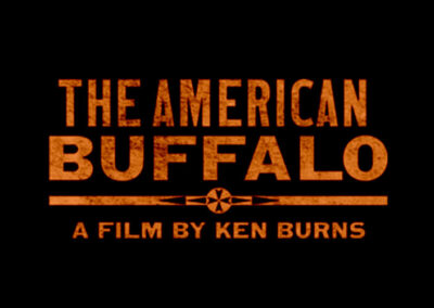 The American Buffalo | Ken Burns in the Classroom | PBS LearningMedia