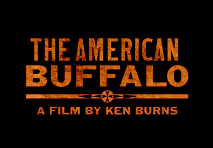 The American Buffalo Ken Burns film title