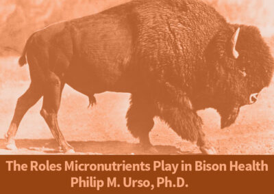 The Roles Micronutrients Play in Bison Health