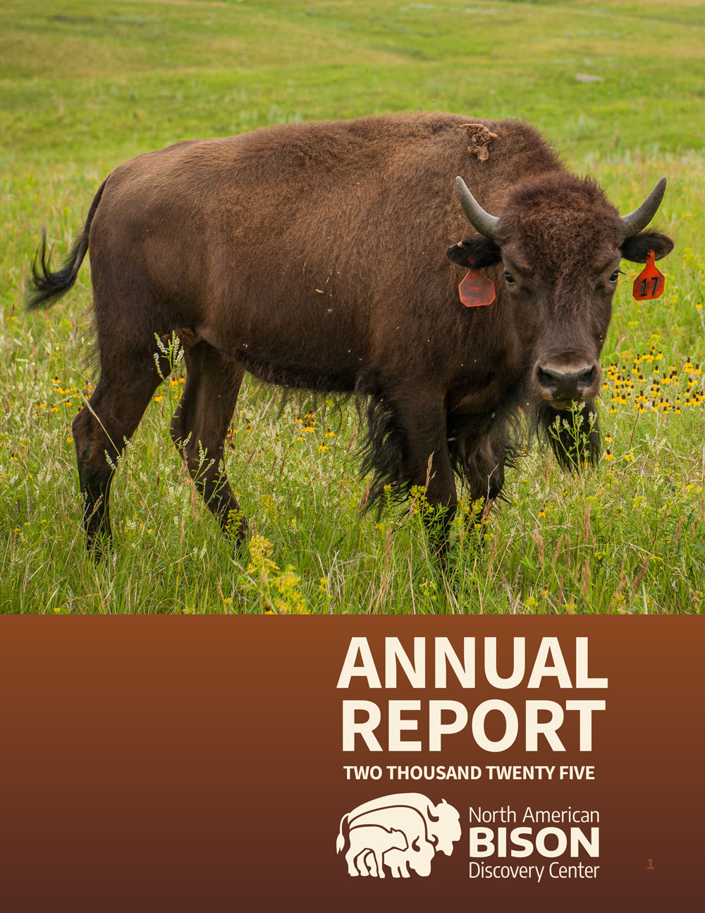 Annual Report 2023